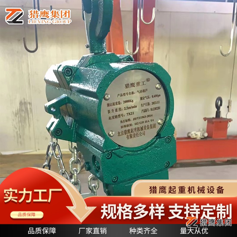 電動(dòng)葫蘆與氣動(dòng)葫蘆的區別有哪些？