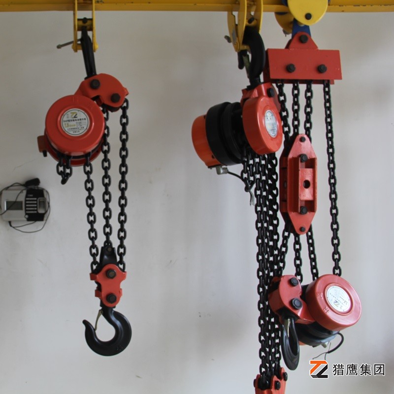 獵鷹集團——電動(dòng)葫蘆專(zhuān)業(yè)生產(chǎn)商的典范