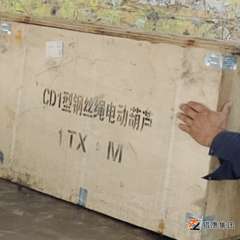 專(zhuān)業(yè)鋼絲繩電動(dòng)葫蘆廠(chǎng)家—獵鷹集團