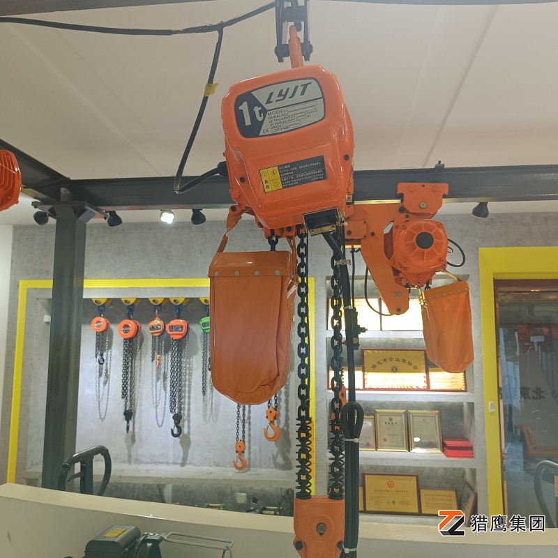 分析起重機電動(dòng)葫蘆常見(jiàn)故障及預防措施