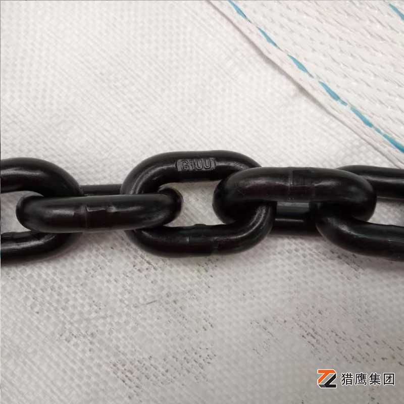 河北起重鏈條廠(chǎng)家有哪些？精選優(yōu)質(zhì)供應商推薦
