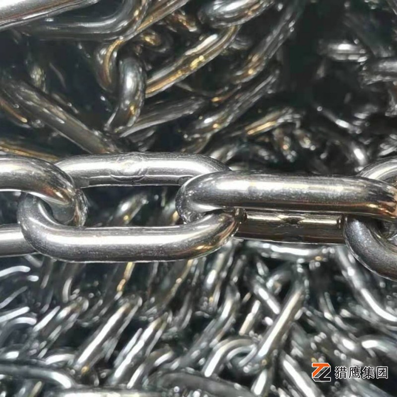 不銹鋼鏈條在選擇型號時(shí)，應考慮哪些關(guān)鍵因素？