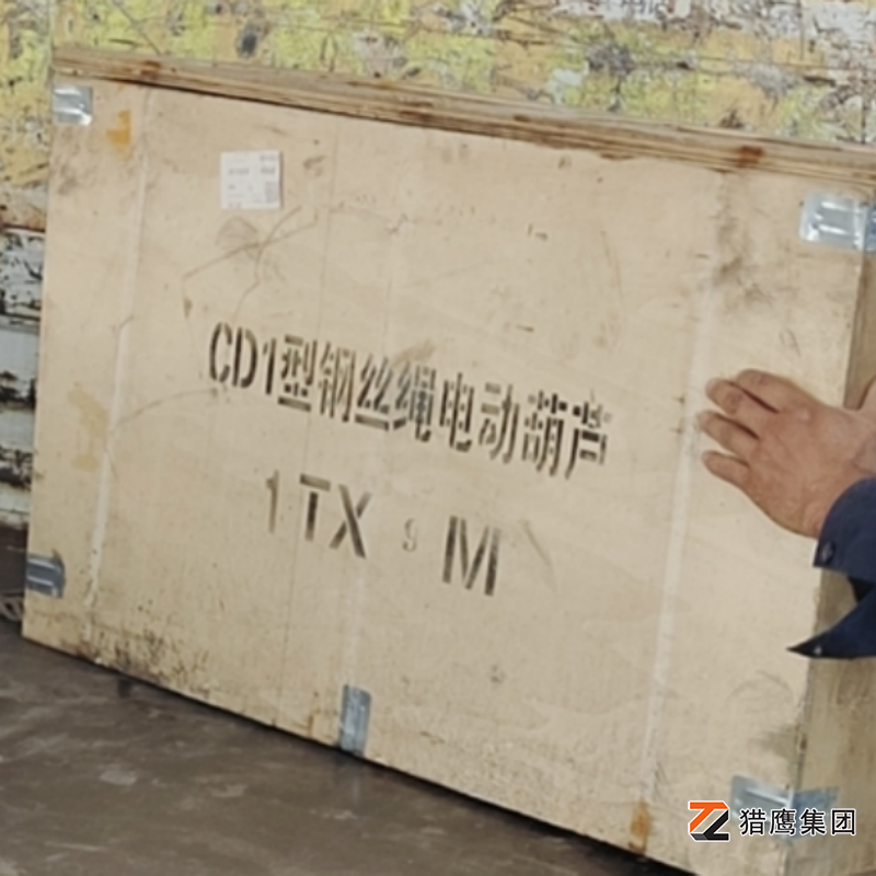 鋼絲繩電動(dòng)葫蘆廠(chǎng)家